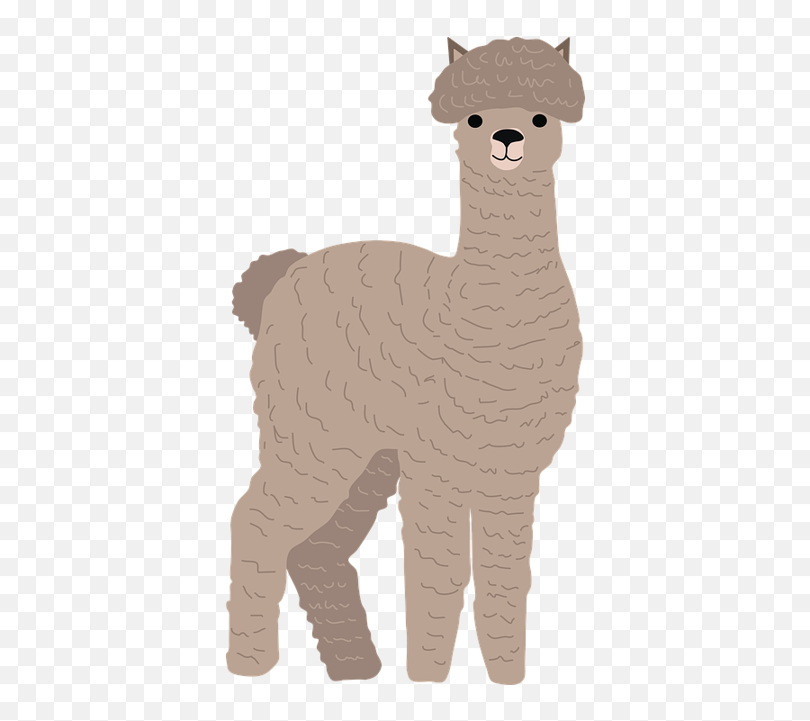 Alpaca Animal Llama - Alpaca Png Vector Emoji,Alpaca Png