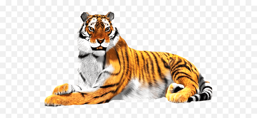 Sitting Tiger Png Download Image - Clipart Of National Animal Emoji,Tiger Png