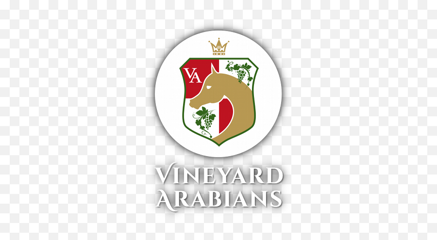 Gilly J Ekstern X Georgia - Vineyard Arabians Arabian Emoji,Pedigree Logo
