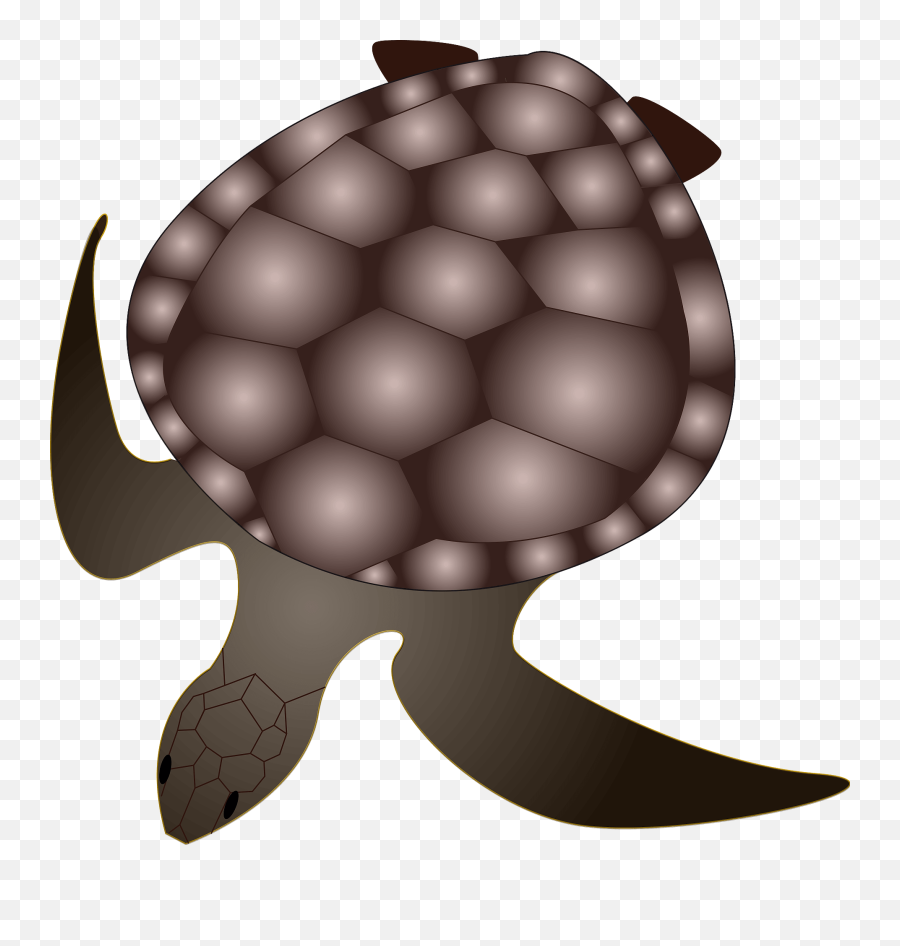 Turtle Clipart I2clipart - Royalty Free Public Domain Clipart Emoji,Turtle Clipart Free