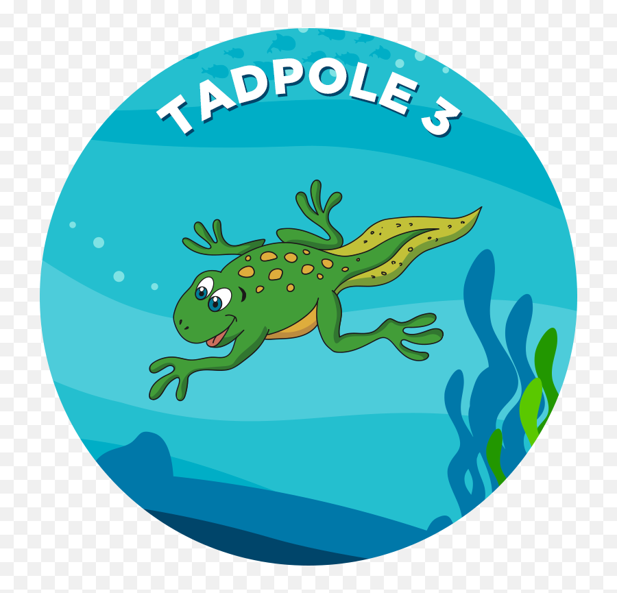 Tadpole Clip Art - Png Download Full Size Clipart Emoji,Tadpoles Clipart
