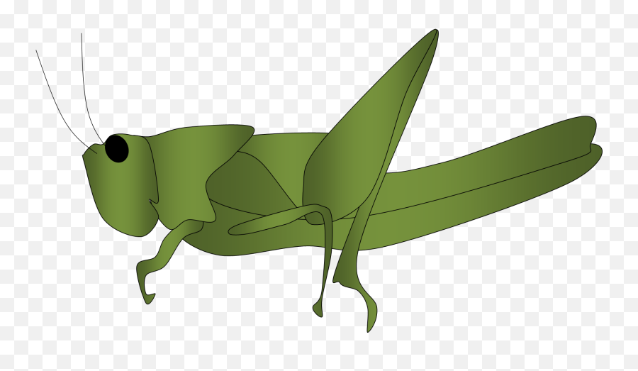 Free Grasshopper Cliparts Download - Animasi Belalang Emoji,Grasshopper Clipart