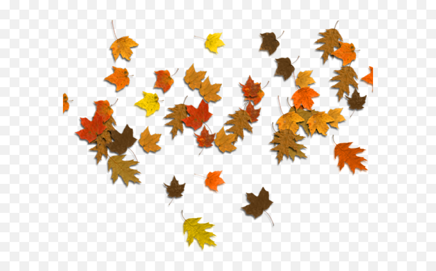 Autumn Leaves Clipart Corner Border - Autumn Oak Leaves Png Emoji,Fall Leaves Transparent Background