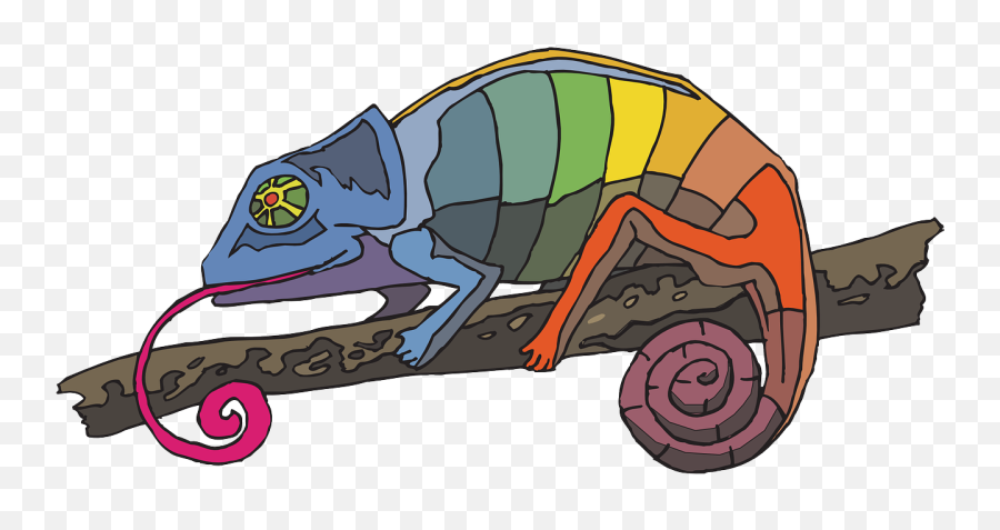 Branch Rainbow Colors Chameleon Png - Fairy Tale Question Of The Day Emoji,Chameleon Png