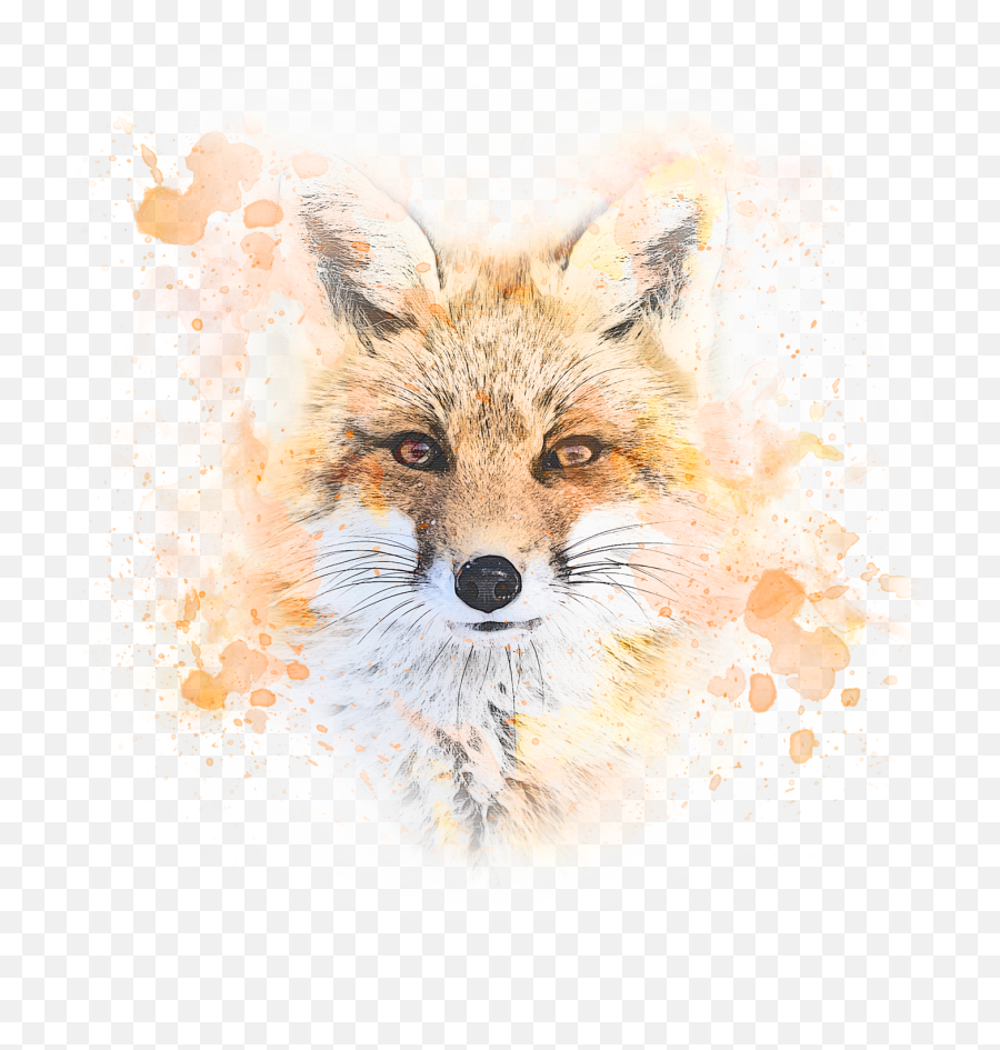 Photoshop Actions - Envato Red Fox Emoji,Photoshop Can't Save As Png