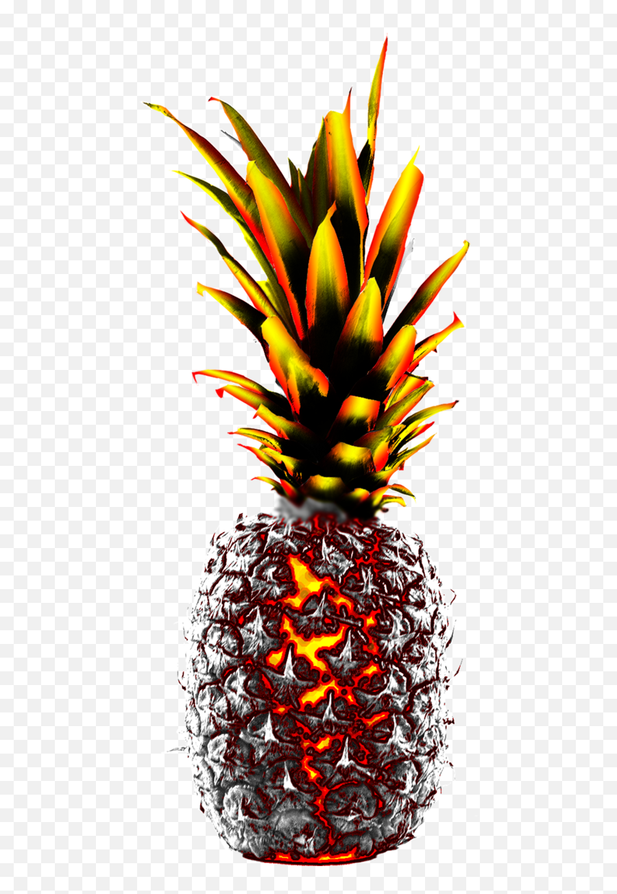 Bad - Rotten Pineapple Png 1024x1325 Png Clipart Download Vertical Emoji,Pineapple Png