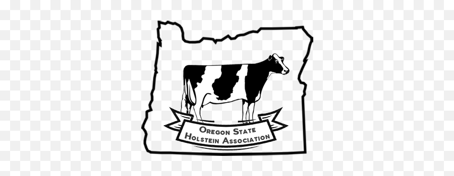 Shows U2013 Oregon State Holstein Association - Easy Holstein Cow Drawing Emoji,Ohsu Logo