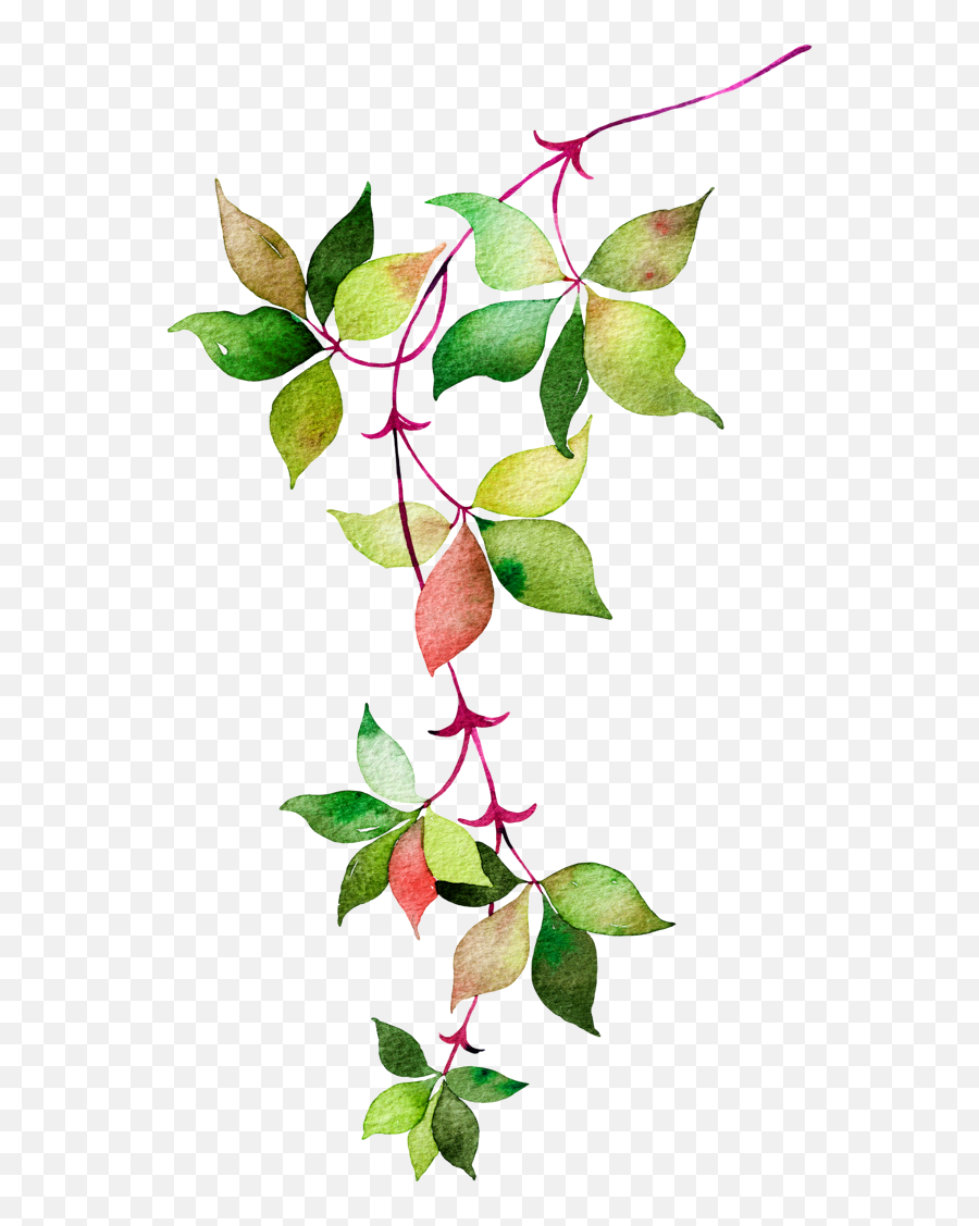 Flower Euclidean Icon Watercolor Leaves Green And Red Leaf Emoji,Red Background Png
