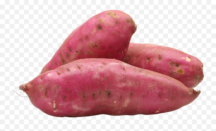 Download Sweet Potato - Sweet Potato Images Hd Emoji,Potato Png