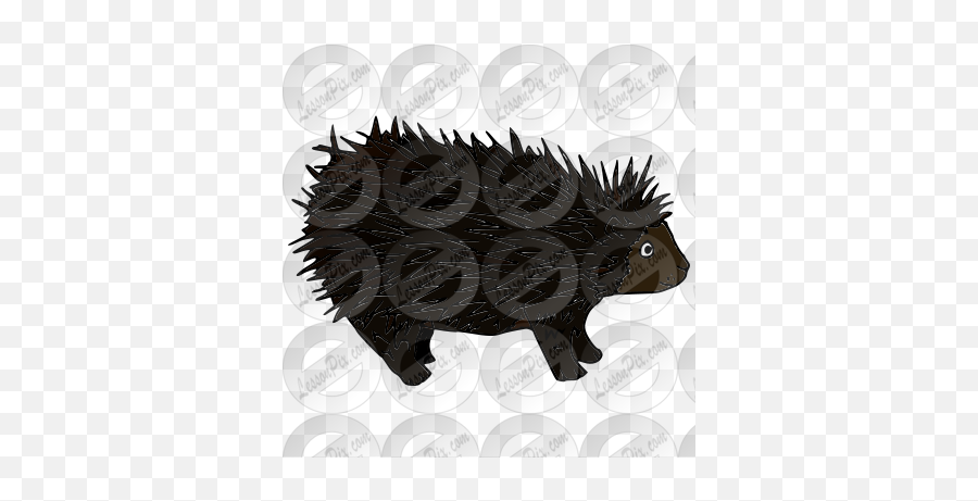 Porcupine Picture For Classroom - Porcupine Emoji,Porcupine Clipart
