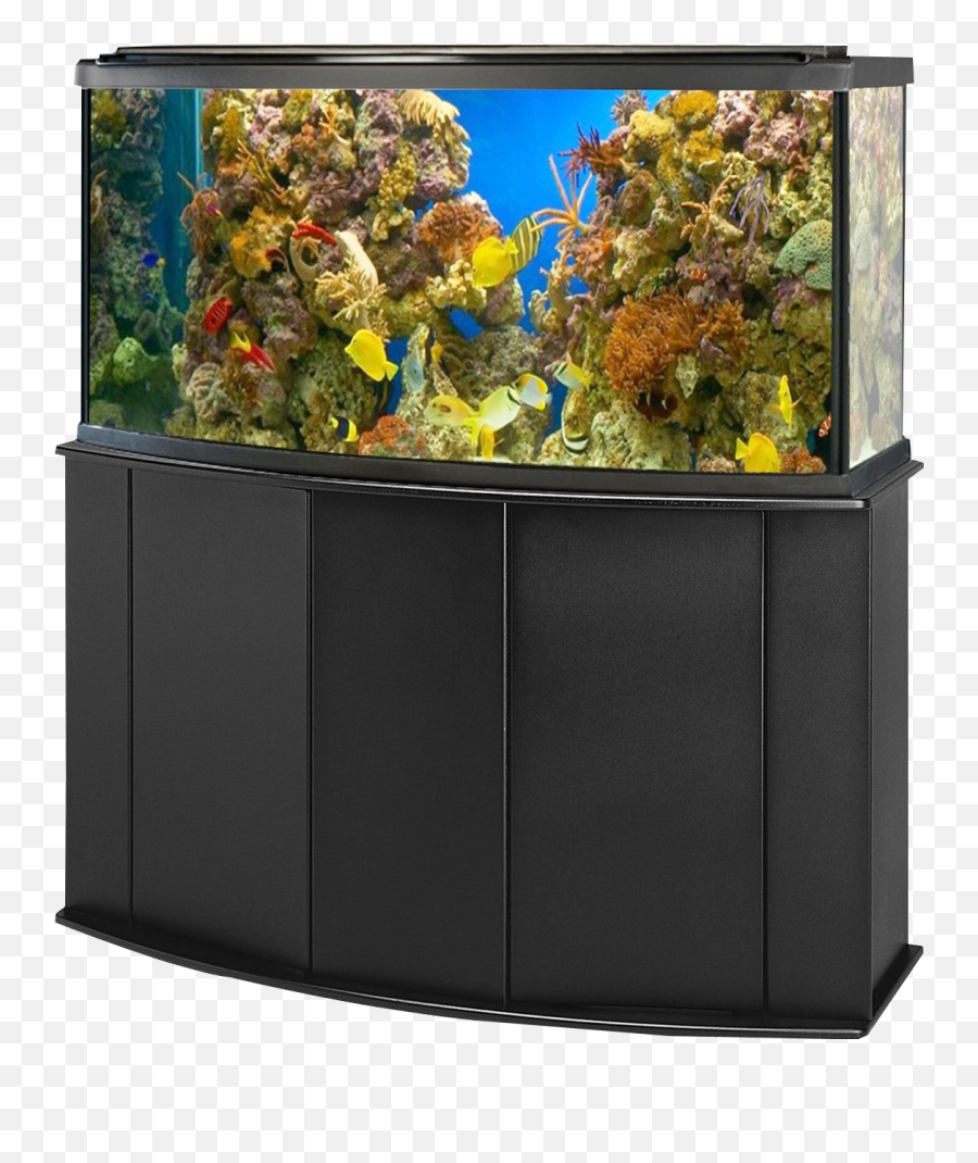 Aquarium Fish Tank Png Image - Transparent Transparent Background Fish Tank Png Emoji,Transparent Fish