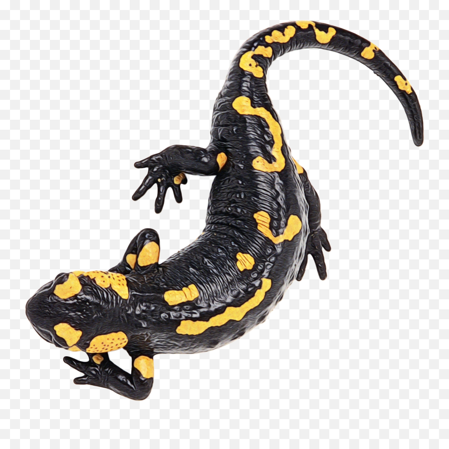 Salamander Png Image File Png All Emoji,Salamander Clipart
