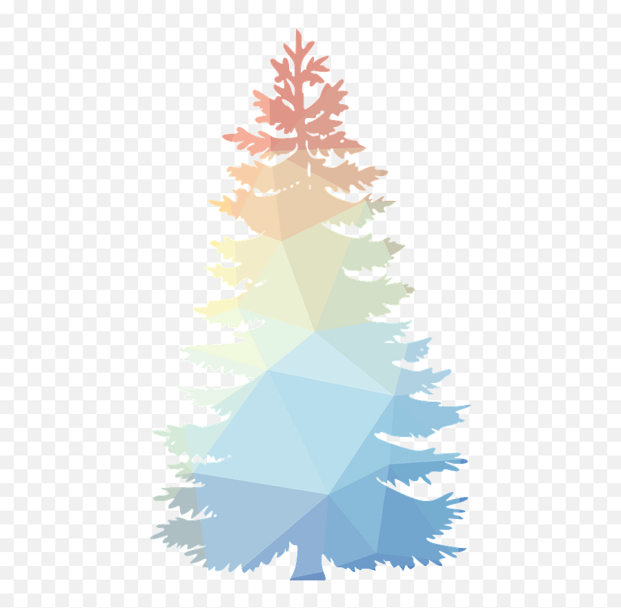 Tree Clipart Free Download Transparent Png Creazilla Emoji,Spruce Tree Clipart