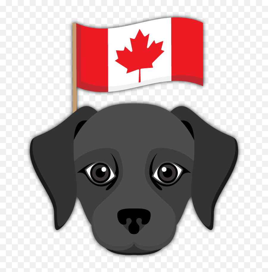 Black Labrador Emoji Blacklabsmatter Send Your Friends,Black Lab Png