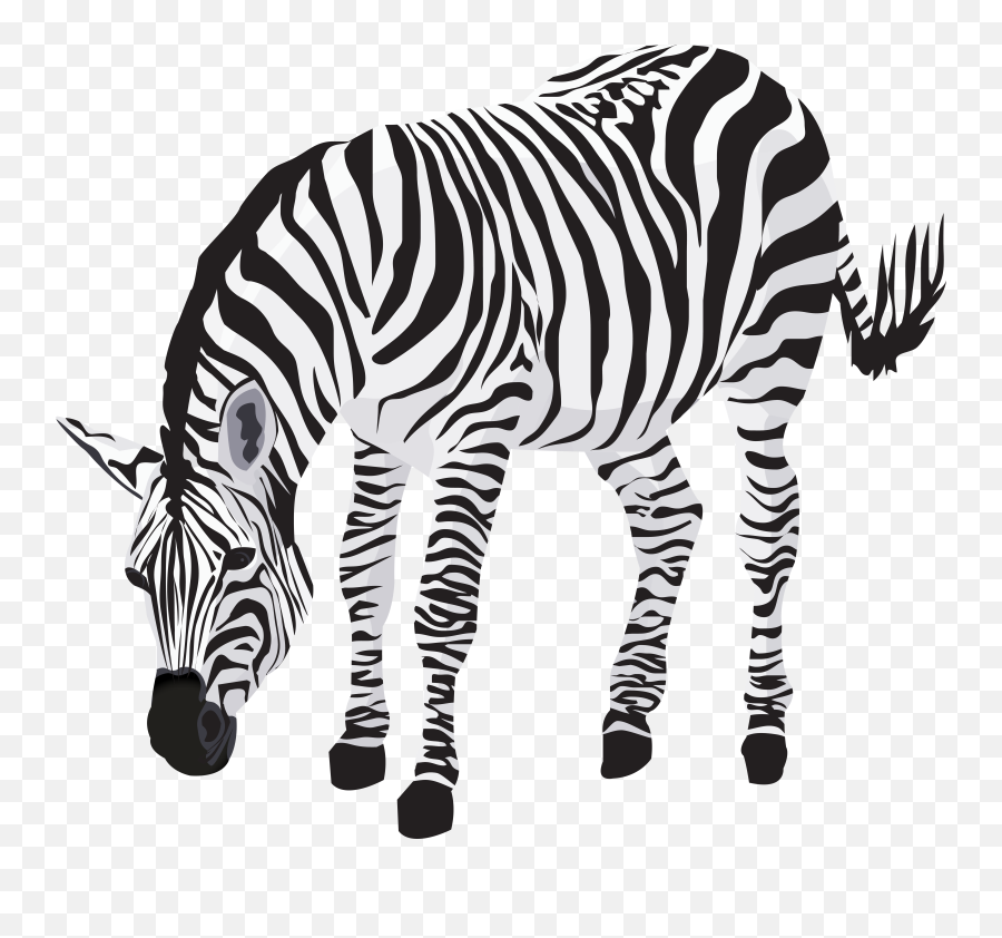Zebra Png Zebra Safari Zebra Desenho Emoji,Clipart Png