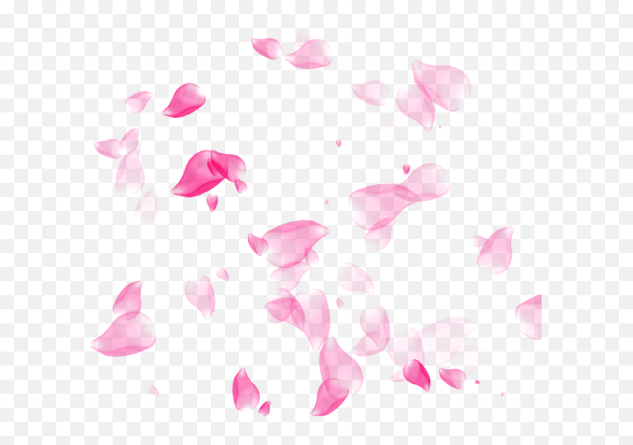Rose Petal Color - Petal Flower Png Emoji,Rose Petals Png