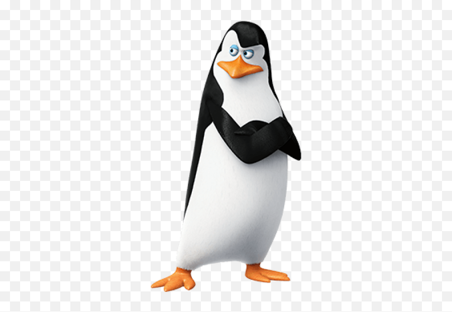 Penguins Of Madagascar Png Images - Penguins Of Madagascar Emoji,Penguin Png