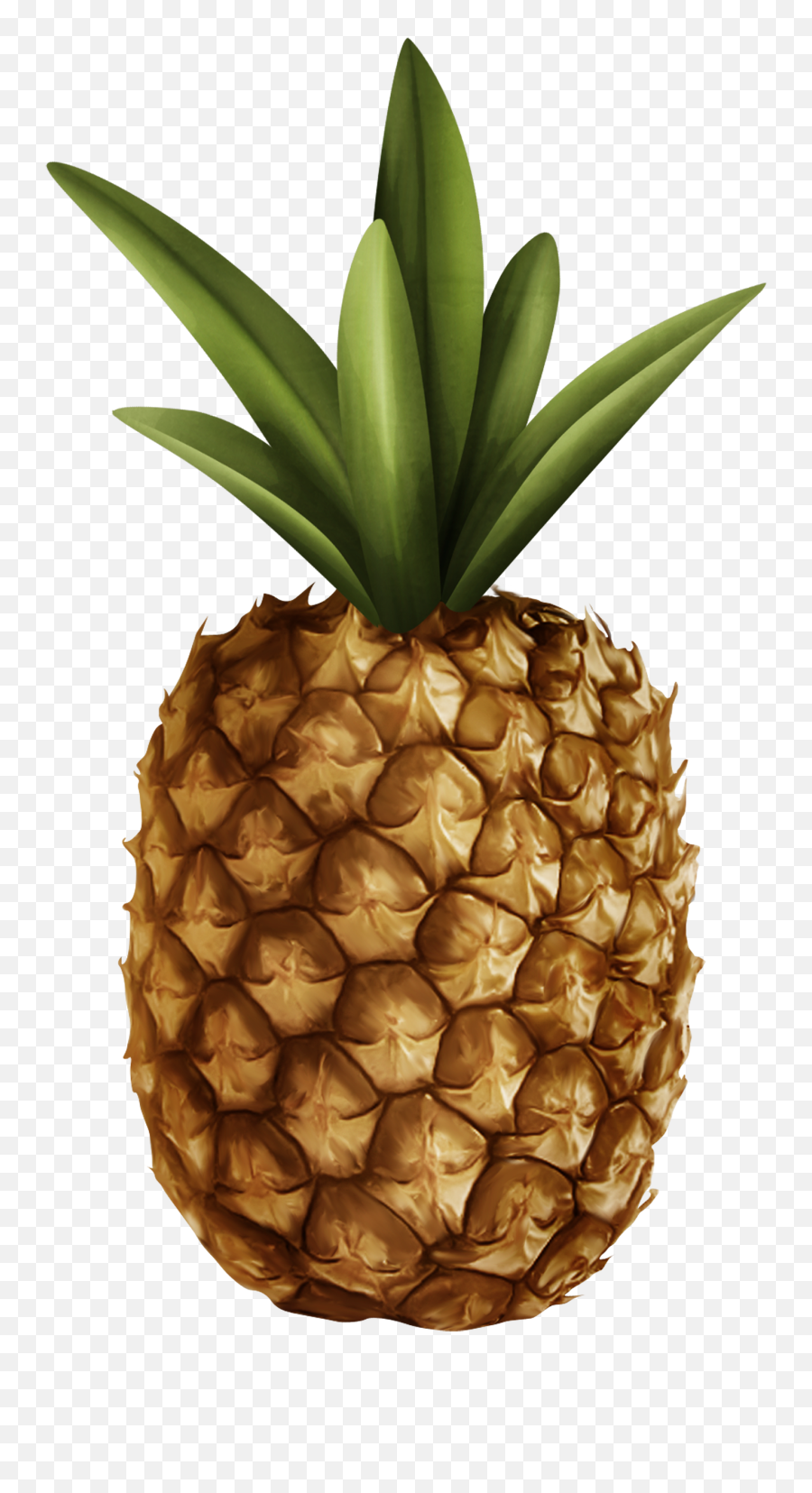 Pineapple Clipart Web - Pineapple Clipart Png Emoji,Pineapple Clipart