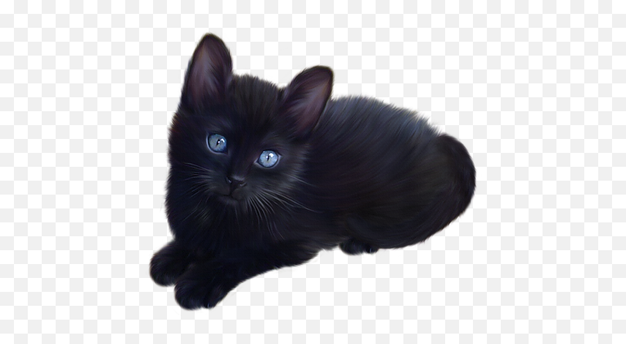 Black Cat - Little Black Cat Png Emoji,Cute Black Cat Clipart