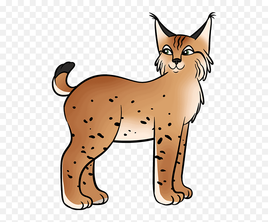 How To Draw A Bobcat - Really Easy Drawing Tutorial Emoji,Bobcats Clipart