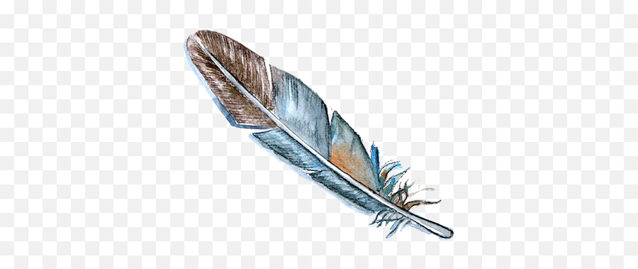Feather Bird Watercolor Painting Drawing - Feather Png Emoji,Feather Drawing Png