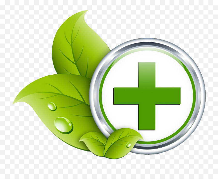 Care Icon Hq Png Image - Green Health Care Logo Emoji,Health Png