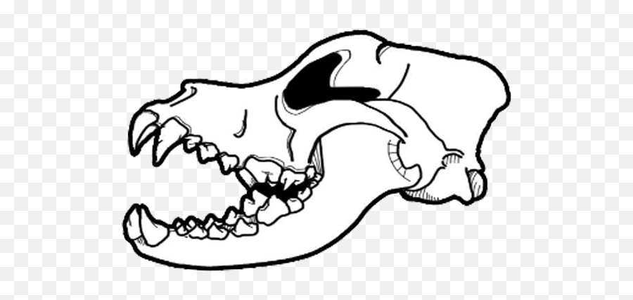 Jugger Logo Skull - Jugger Logo Emoji,Skull Png