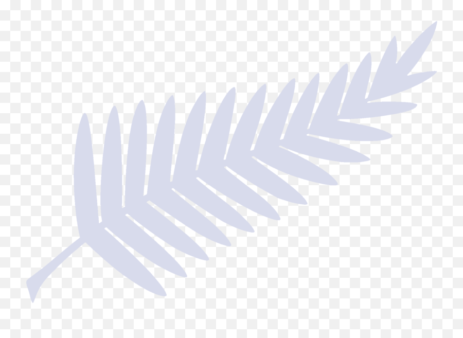 Flag U2013 Transparent Fern U2013 Silver John Ansell Emoji,Flag Transparent