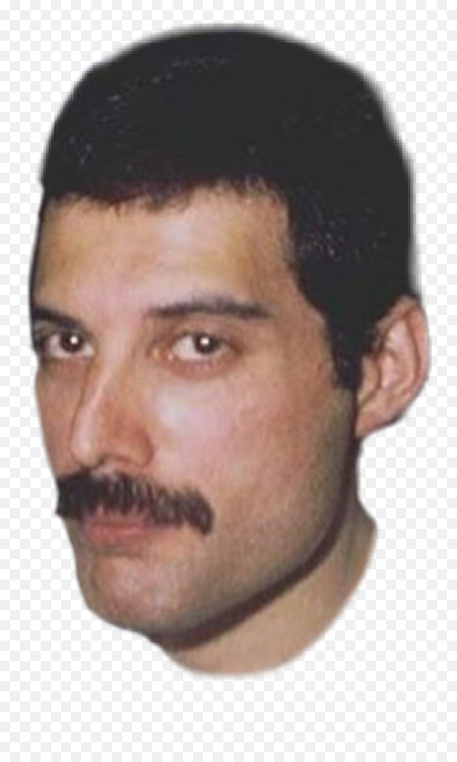 Freddie Mercury Face Png Png Image With - Freddie Mercury Face Png Emoji,Freddie Mercury Png