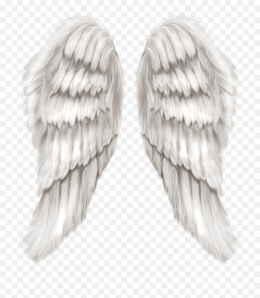 Angel Wings Transparent Transparent Png - Realistic Angel Wings Png Emoji,Wings Transparent