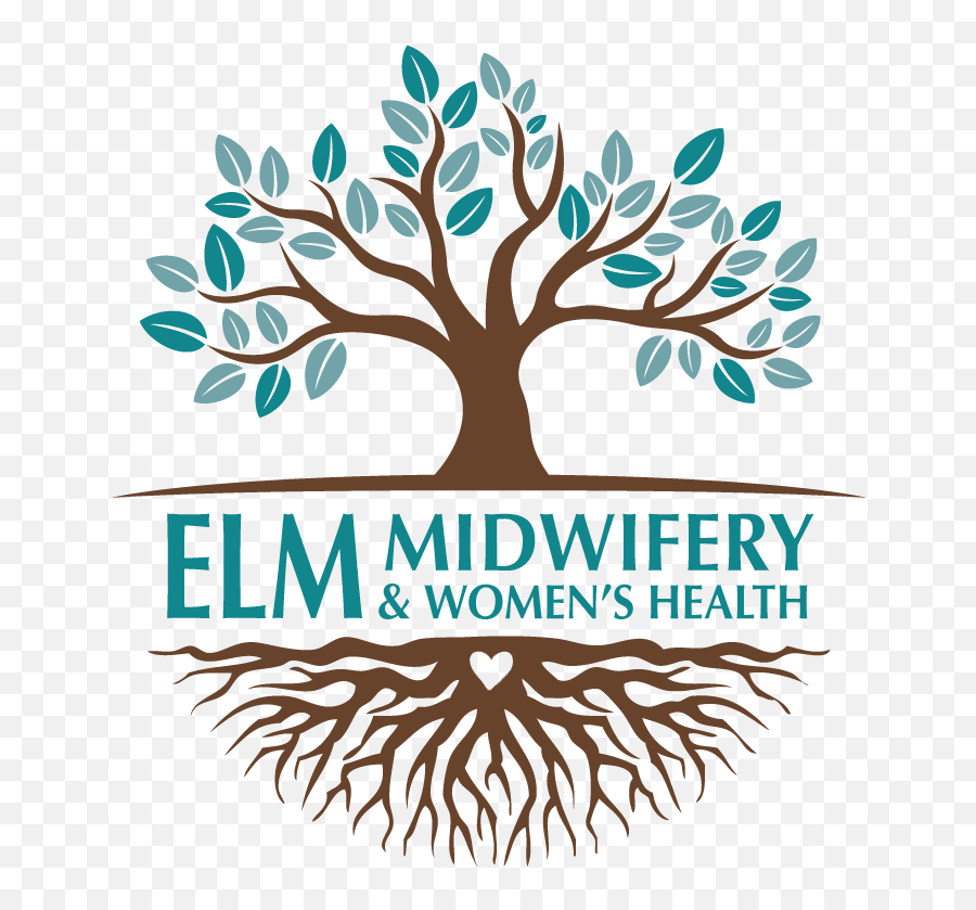 Elm Midwifery U0026 Womenu0027s Health - Tree Logo With Roots Png Emoji,Women's Health Logo