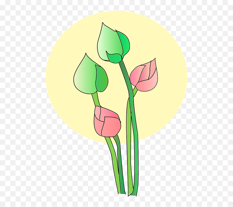 Lotus Flower Bloom - Free Vector Graphic On Pixabay Vesak Png Emoji,Lotus Flower Logo