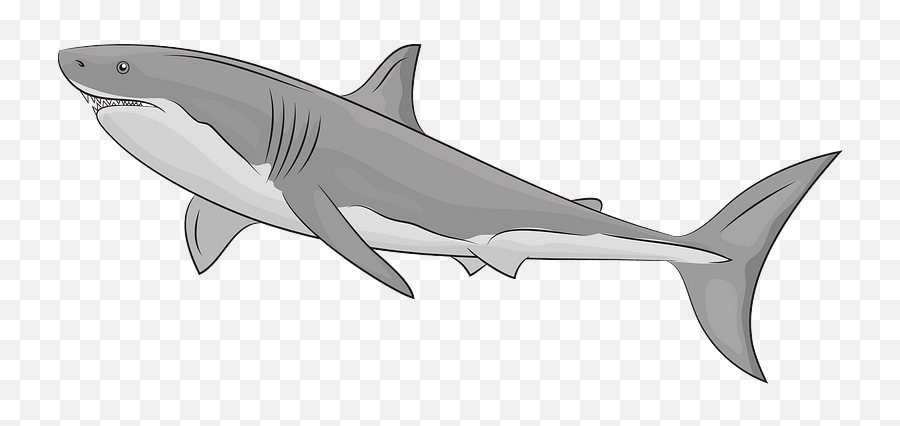 Great White Shark Clipart Emoji,Sharks Clipart