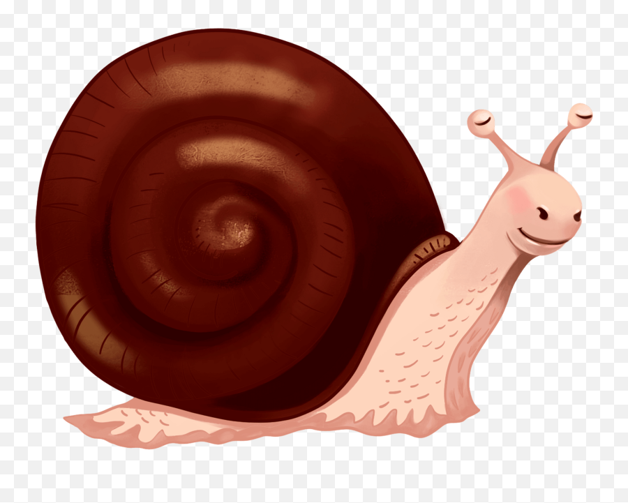 Snail Clipart Free Download Transparent Png Creazilla - Pond Snails Emoji,Snail Clipart
