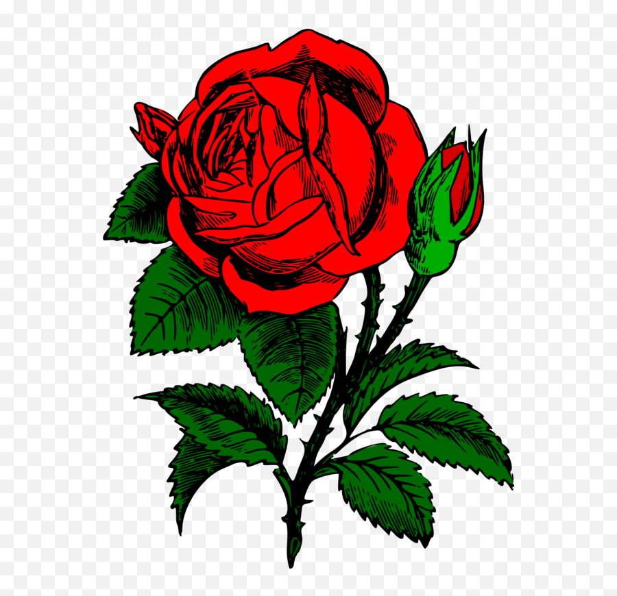 Flower Rose Family For Valentines Day - Desain Baju Bunga Mawar Emoji,Rose Logo