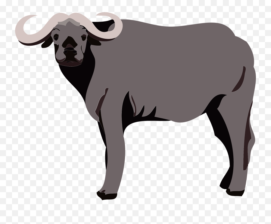 Water Buffalo Clipart - Water Buffalo Clipart Emoji,Buffalo Clipart