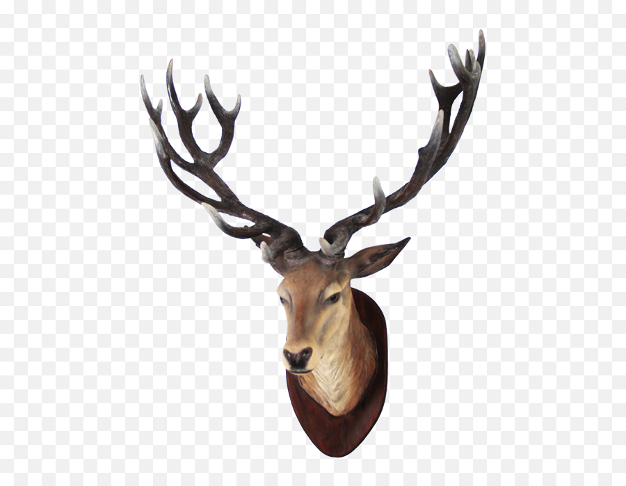 Clipart Png Deer Best - Deer Head Transparent Png Emoji,Deer Head Clipart