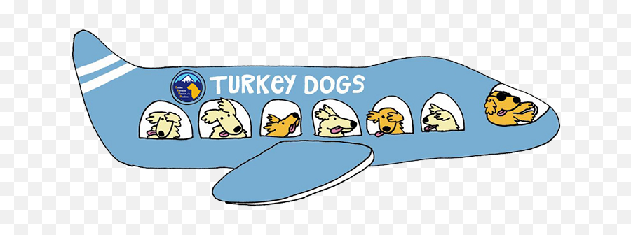 Golden - Language Emoji,Plane Logo