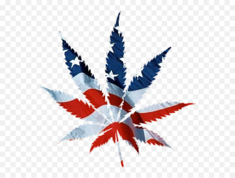 Home - American Cannabis Leaf Png Emoji,Pot Leaf Png