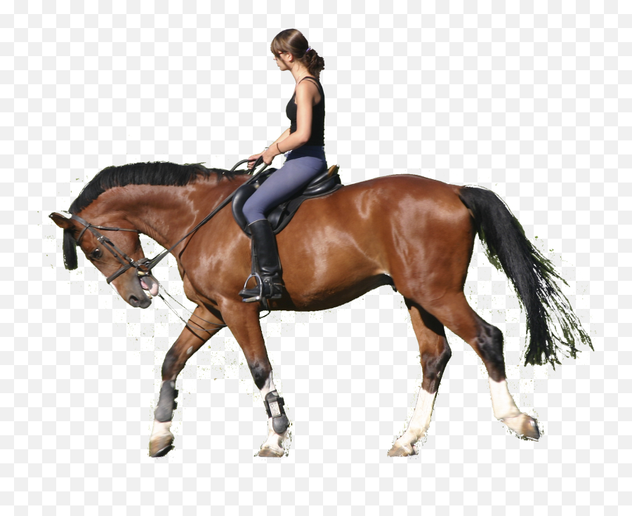 Girl Riding A Horse Png Free Free - Ride On Horse Transparent Emoji,Horse Png