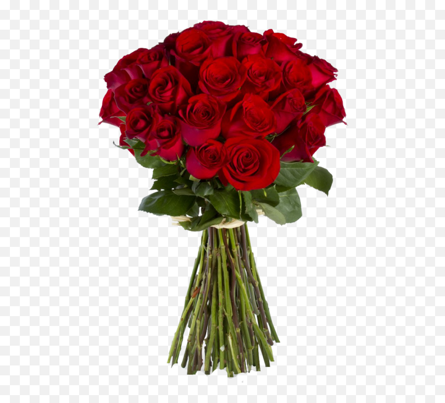 Download Hd Flower Bokeh Png Images Siewalls Co - Red Rose Rose Flower Bokeh Png Emoji,Red Flower Png