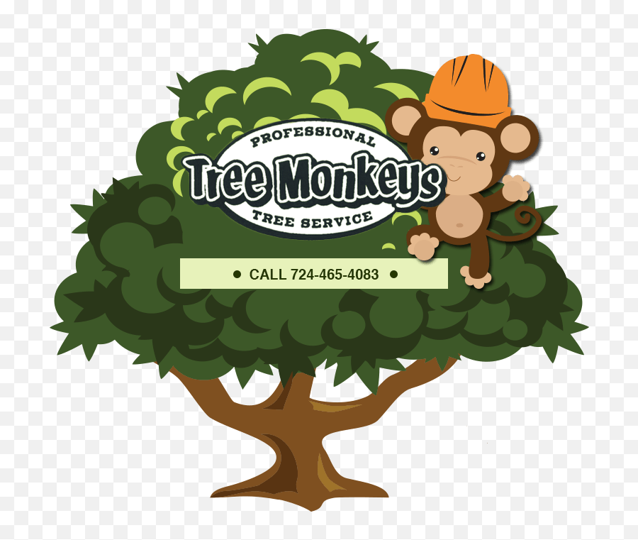 Free Stump Grinding Cliparts Download Free Stump Grinding - Tree Monkey Tree Service Emoji,Tree Services Logos