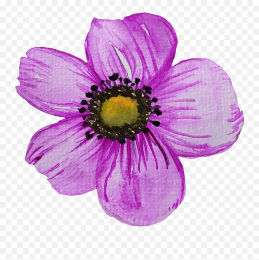 Purple Watercolor Flower Clipart 14 U2013 Mckinley Design Co Emoji,Watercolor Flowers Clipart