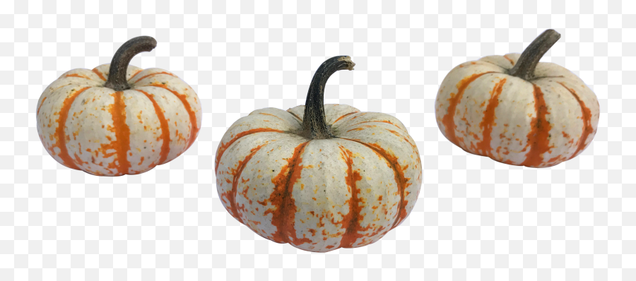 Pumpkins - Gourd Emoji,Pumpkin Transparent
