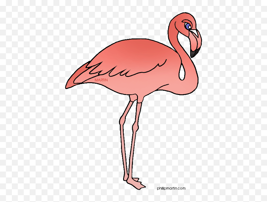 Flamingo Clipart Outline Picture 1115007 Flamingo Clipart - Greater Flamingo Emoji,Flamingo Clipart