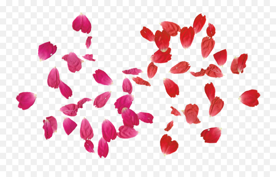 Flower Leaves Png U0026 Free Flower Leavespng Transparent - Rose Leaf Png Emoji,Leaves Png