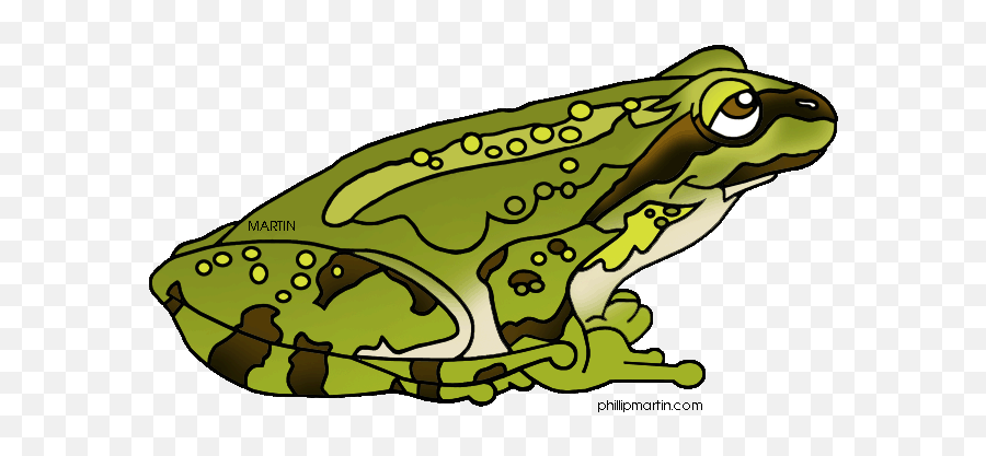 Download Hd United States Clip Art By Phillip Martin - Pacific Chorus Frog Cartoon Emoji,Phillipmartin Clipart