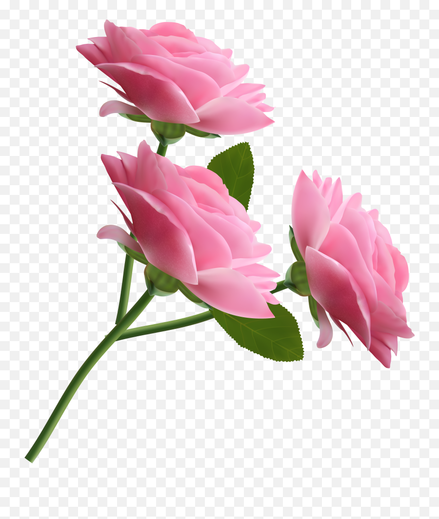 Pink Roses Transparent Png Clipart Png - Transparent Background Flower Png Pink Emoji,Pink Rose Clipart
