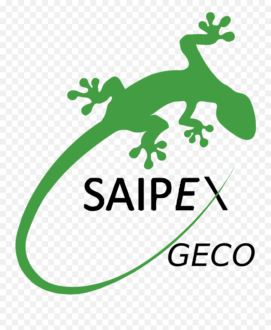 Download Green Gecko Lizard Vector Clipart Image - Marchand Salem Animal Rescue League Emoji,Gecko Clipart