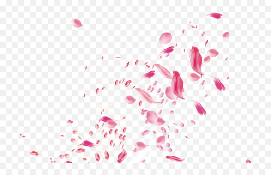 Rose Petals Falling Transparent - Falling Rose Patel Png Emoji,Rose Petals Png